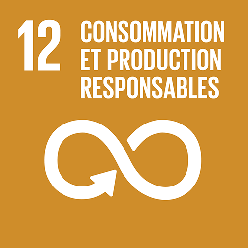 Consommation et production responsables - 12 - Objectifs de développement durable - ONU