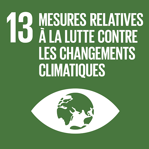 Mesures relatives à la lutte contre les changements climatiques - 13 - Objectifs de développement durable - ONU
